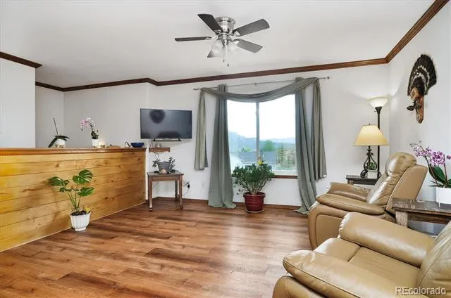 172 Larissa Lane Buena Vista, CO 81211