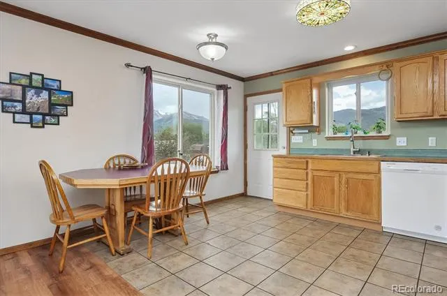 172 Larissa Lane Buena Vista, CO 81211