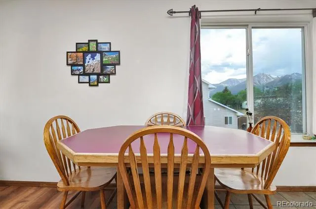 172 Larissa Lane Buena Vista, CO 81211