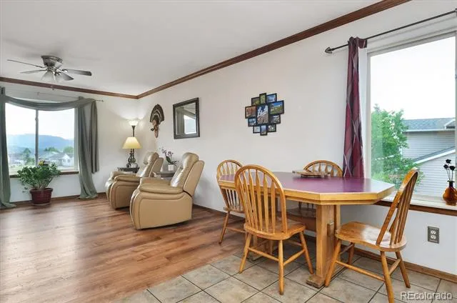 172 Larissa Lane Buena Vista, CO 81211