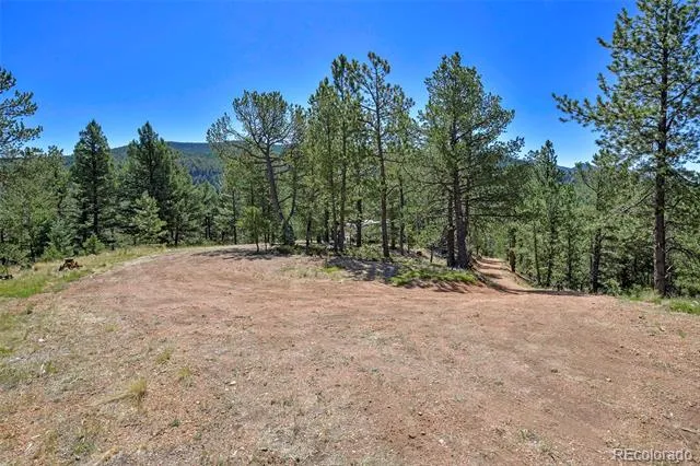 20083 S State Highway 67 Divide, CO 80814