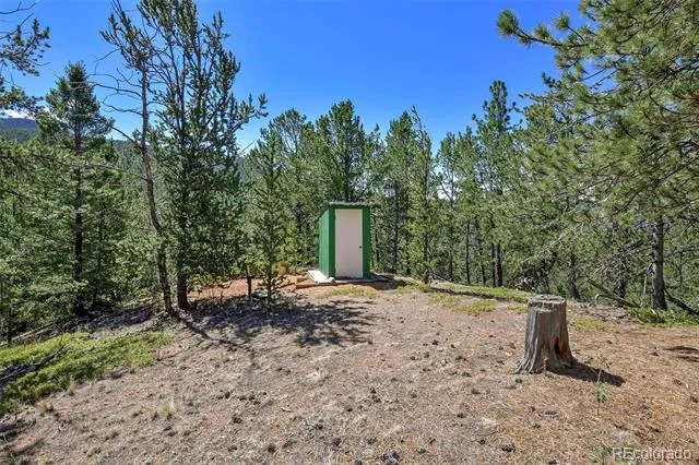 20083 S State Highway 67 Divide, CO 80814