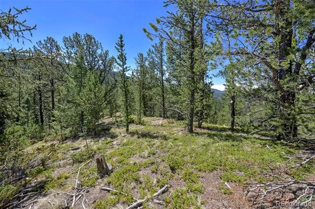 20083 S State Highway 67 Divide, CO 80814