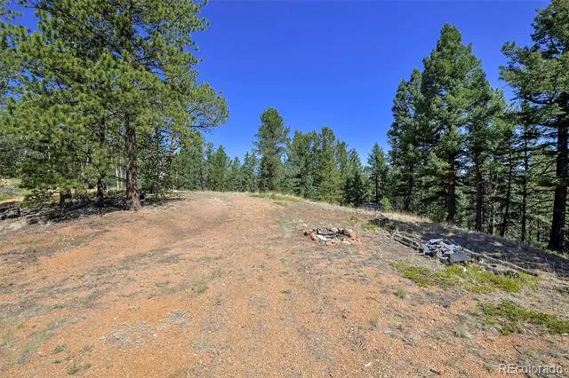 20083 S State Highway 67 Divide, CO 80814