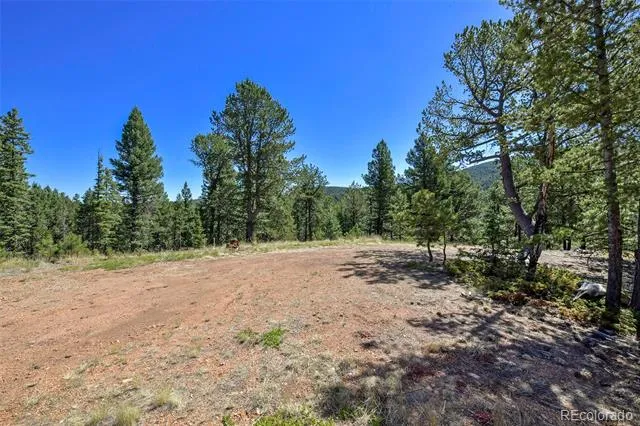 20083 S State Highway 67 Divide, CO 80814