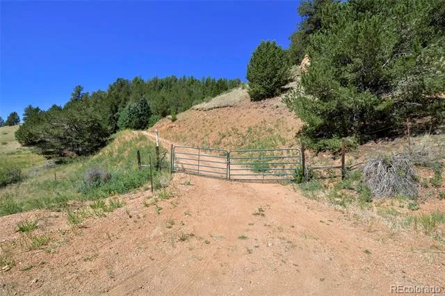 20083 S State Highway 67 Divide, CO 80814
