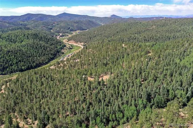 20083 S State Highway 67 Divide, CO 80814