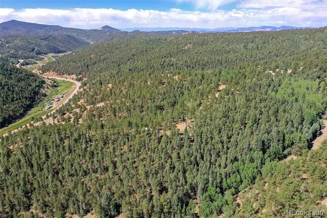 20083 S State Highway 67 Divide, CO 80814