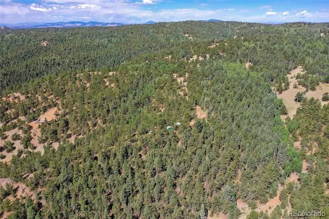 20083 S State Highway 67 Divide, CO 80814
