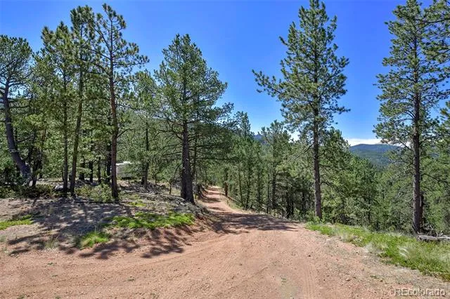 20083 S State Highway 67 Divide, CO 80814