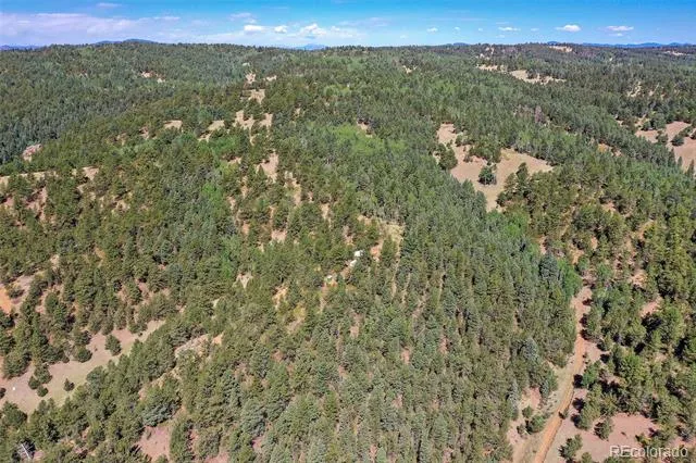 20083 S State Highway 67 Divide, CO 80814