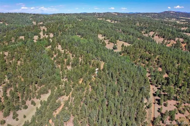 20083 S State Highway 67 Divide, CO 80814