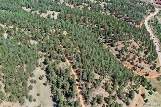 20083 S State Highway 67 Divide, CO 80814