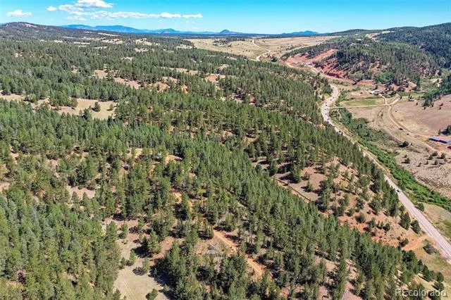 20083 S State Highway 67 Divide, CO 80814