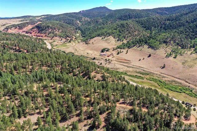20083 S State Highway 67 Divide, CO 80814