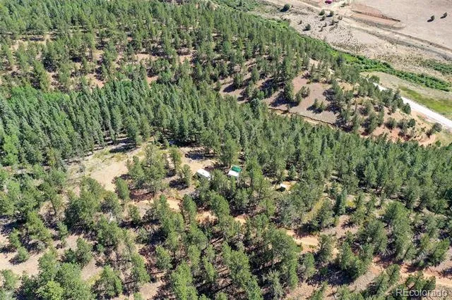 20083 S State Highway 67 Divide, CO 80814