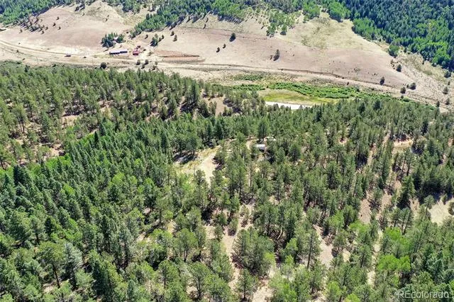 20083 S State Highway 67 Divide, CO 80814