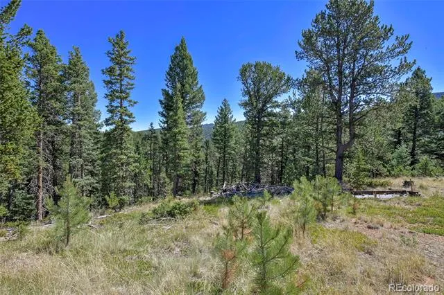 20083 S State Highway 67 Divide, CO 80814
