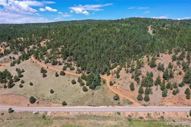 20083 S State Highway 67 Divide, CO 80814