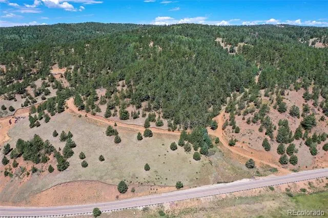 20083 S State Highway 67 Divide, CO 80814