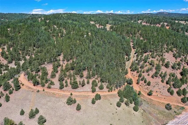20083 S State Highway 67 Divide, CO 80814