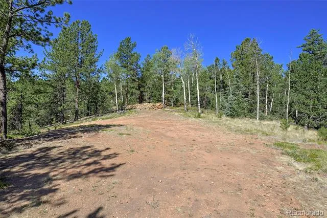 20083 S State Highway 67 Divide, CO 80814