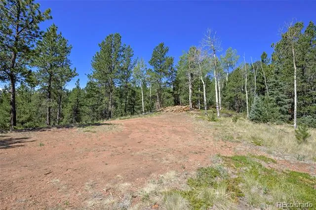 20083 S State Highway 67 Divide, CO 80814