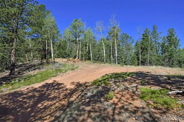 20083 S State Highway 67 Divide, CO 80814