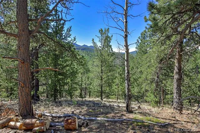 20083 S State Highway 67 Divide, CO 80814