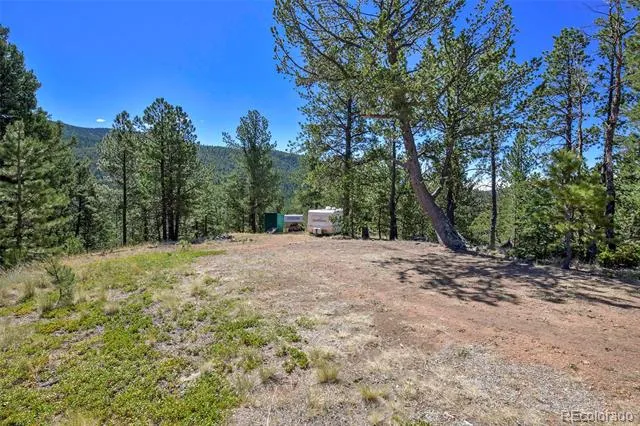 20083 S State Highway 67 Divide, CO 80814