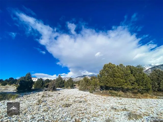1621 Willow Creek Way Crestone, CO 81131