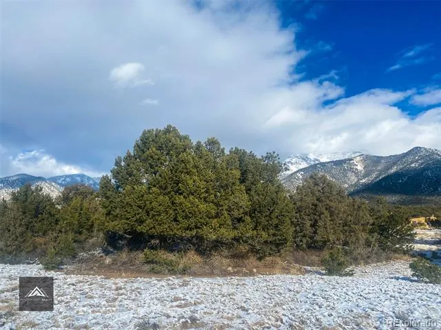 1621 Willow Creek Way Crestone, CO 81131