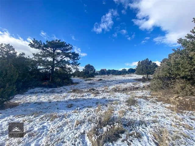 1621 Willow Creek Way Crestone, CO 81131