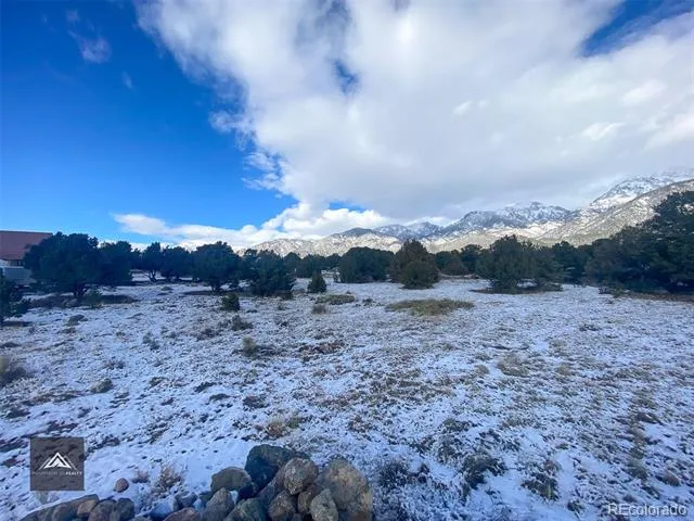 1621 Willow Creek Way Crestone, CO 81131