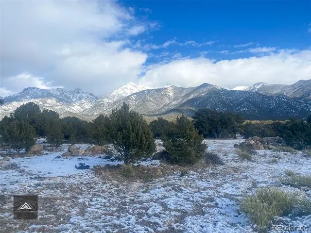 1621 Willow Creek Way Crestone, CO 81131