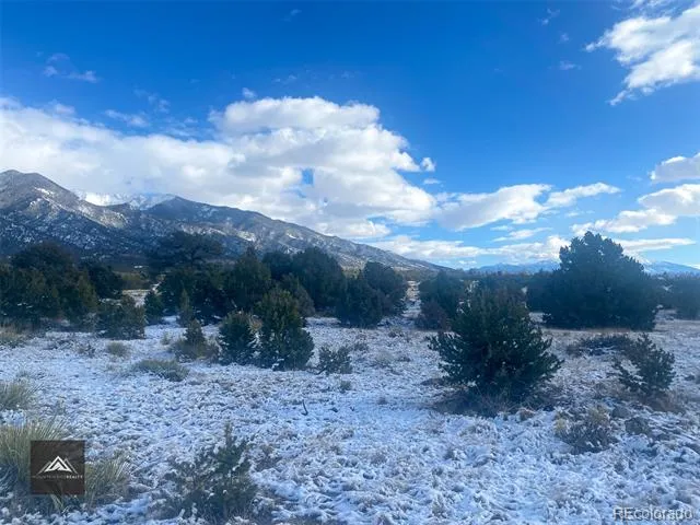 1621 Willow Creek Way Crestone, CO 81131