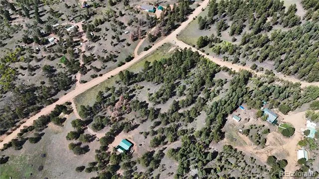 2265 Vagabond Creek Drive Lake George, CO 80827