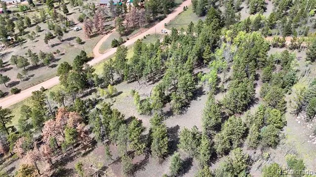 2265 Vagabond Creek Drive Lake George, CO 80827