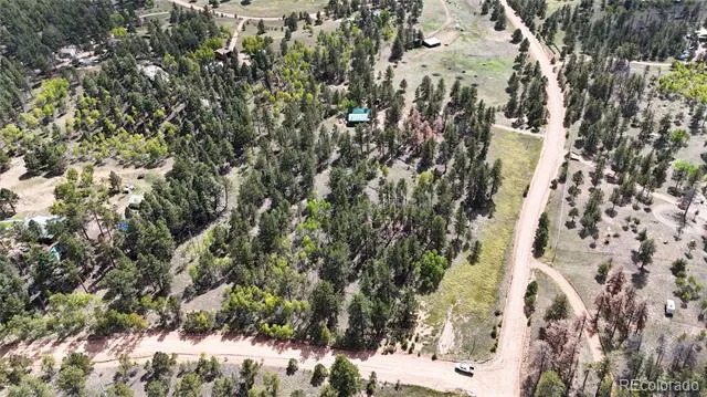 2265 Vagabond Creek Drive Lake George, CO 80827