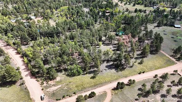 2265 Vagabond Creek Drive Lake George, CO 80827
