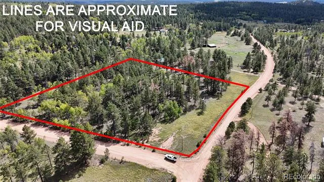 2265 Vagabond Creek Drive Lake George, CO 80827