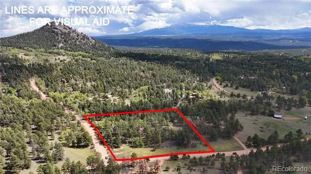 2265 Vagabond Creek Drive Lake George, CO 80827
