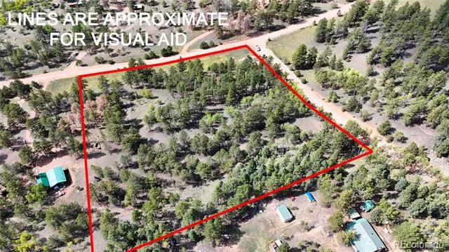 2265 Vagabond Creek Drive Lake George, CO 80827