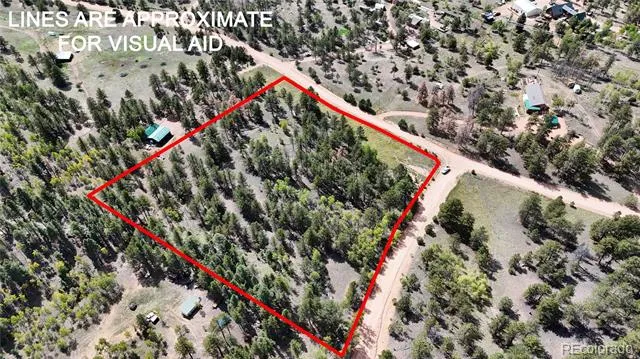 2265 Vagabond Creek Drive Lake George, CO 80827