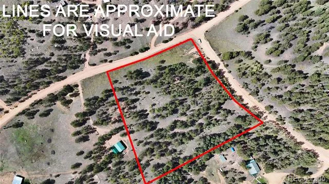 2265 Vagabond Creek Drive Lake George, CO 80827