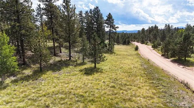 2265 Vagabond Creek Drive Lake George, CO 80827