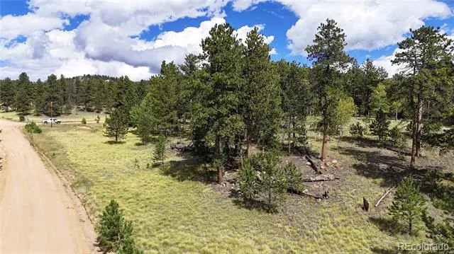 2265 Vagabond Creek Drive Lake George, CO 80827