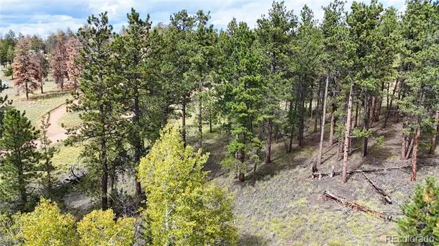 2265 Vagabond Creek Drive Lake George, CO 80827