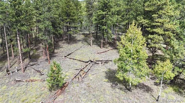 2265 Vagabond Creek Drive Lake George, CO 80827