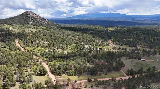 2265 Vagabond Creek Drive Lake George, CO 80827
